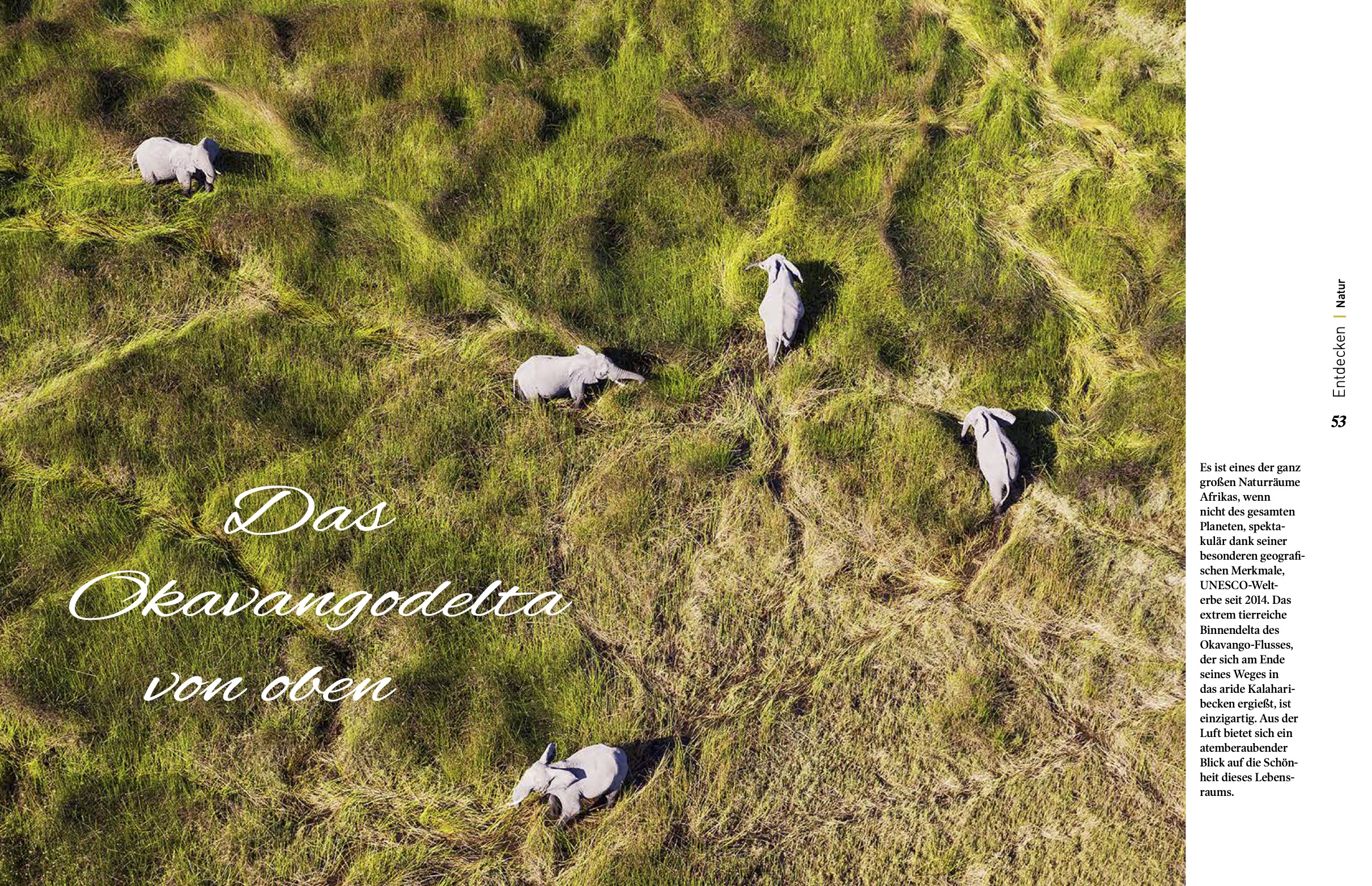 Okavango Delta from the air