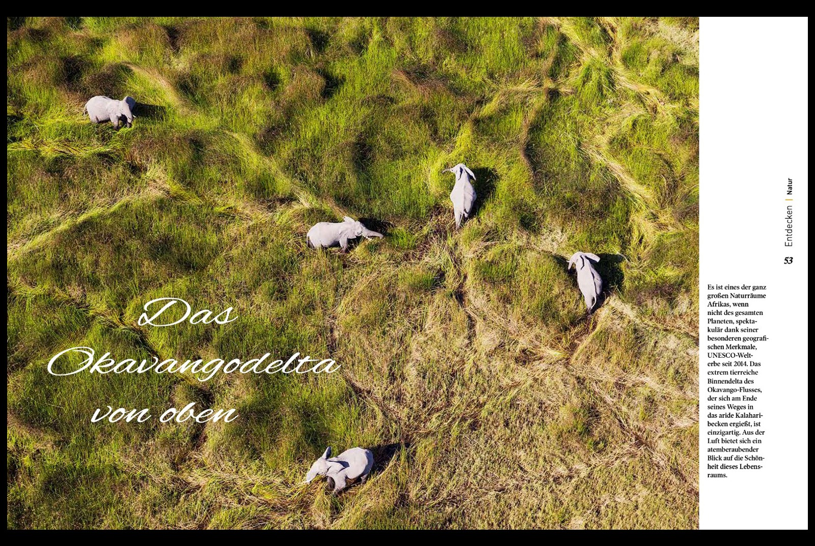 Okavango Delta from the air