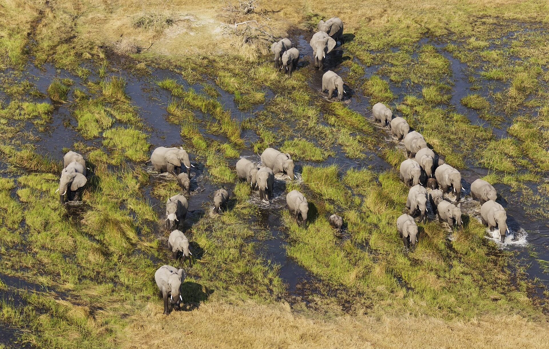 6 Okavango Delta from the air